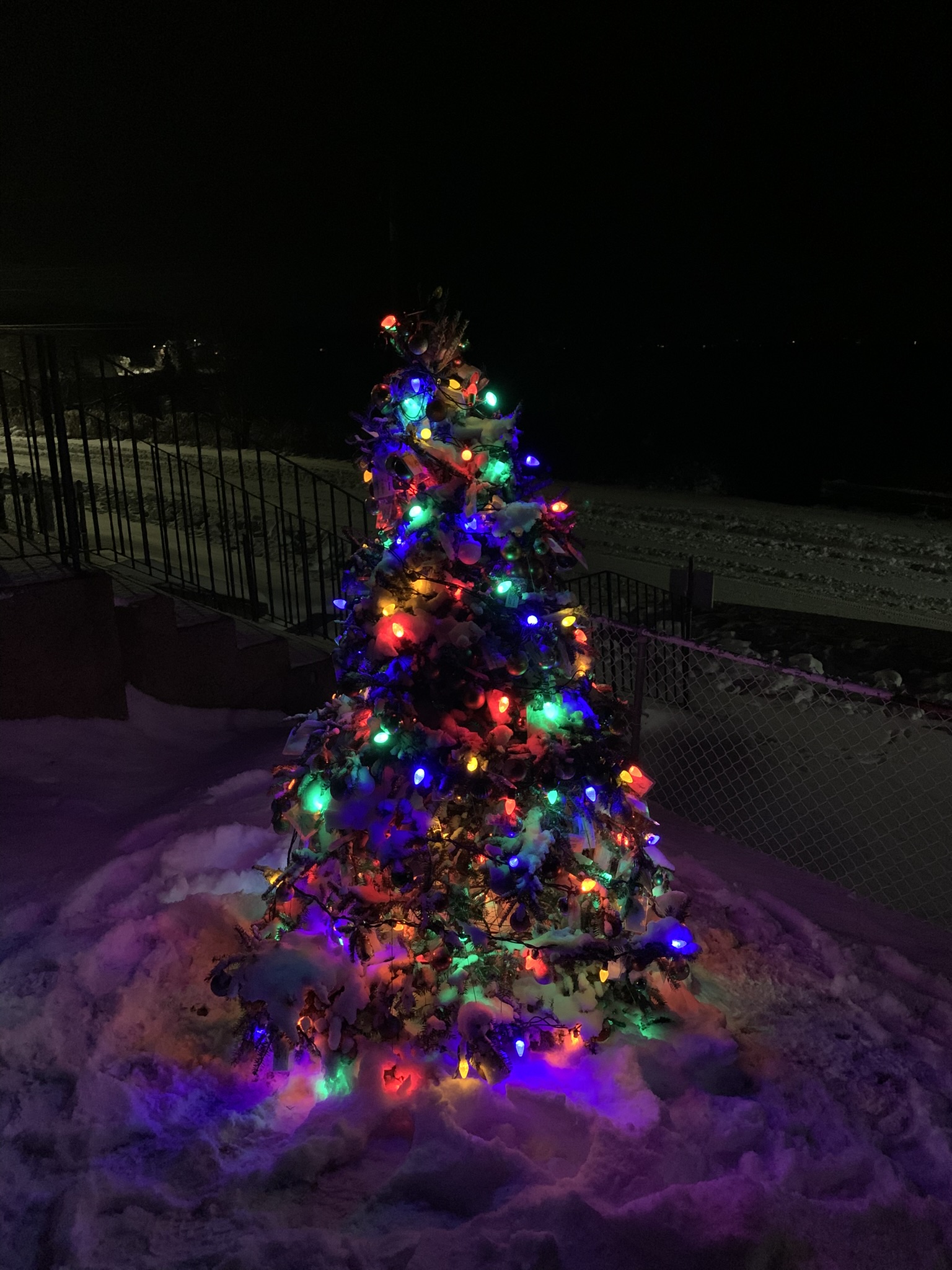 St. Mark's Memory Tree after a fresh blanket of snow.